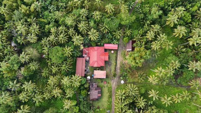 Khloe Serenity Guest House Batuan Экстерьер фото